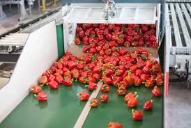 > </div>
<div class=